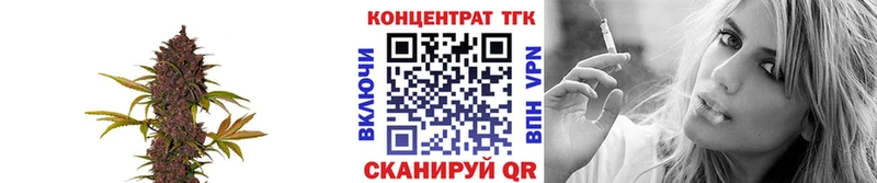 Дистиллят ТГК THC oil  Горбатов 