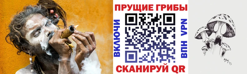 Псилоцибиновые грибы GOLDEN TEACHER  Горбатов 